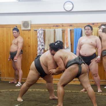 Entraînement de Sumos à Arashio Beya, Ryogoku, Tokyo (joute sur le dohyo) 2