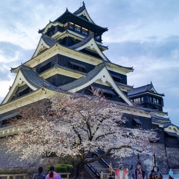 Château de Kumamoto, Donjon principal au printemps 2016