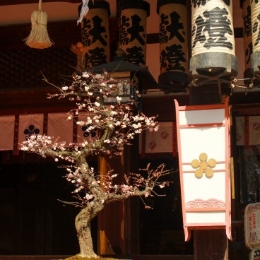 Osaka Tenmangu pendant le festival Ume Matsuri 4