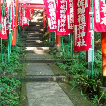 Sasuke Inari-jinja (Kamakura), Portes torii et bannières
