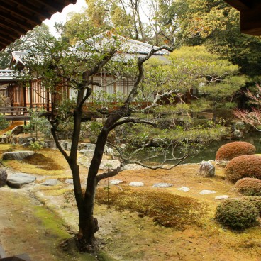 Daikaku-ji (Kyoto), Vue du jardin