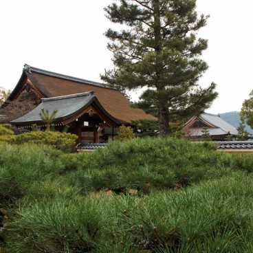 Daikaku-ji (Kyoto), Aperçu des pavillons Shinden et Godai-do depuis l'extérieur