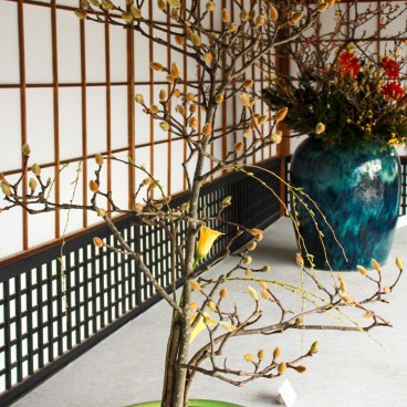 Daikaku-ji (Kyoto), Exposition d'ikebana