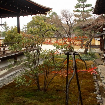 Daikaku-ji (Kyoto), Vue sur le jardin entre l'entrée et le pavillon Shinden