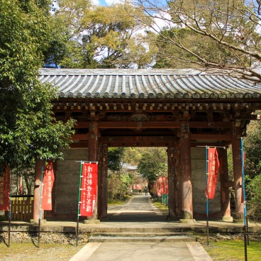 Daigo Ji 15
