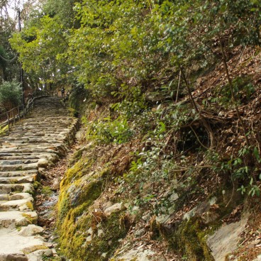 Takao (Kyoto), temple Jingo-ji et escalier en pierre à l'entrée