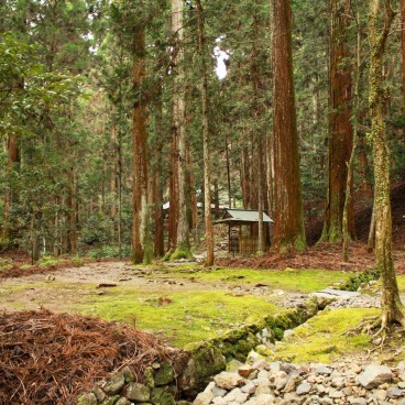 Takao (Kyoto), temple Kozan-ji et forêt de cèdres