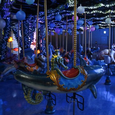 Aqua Park Shinagawa, manège Dolphin Party