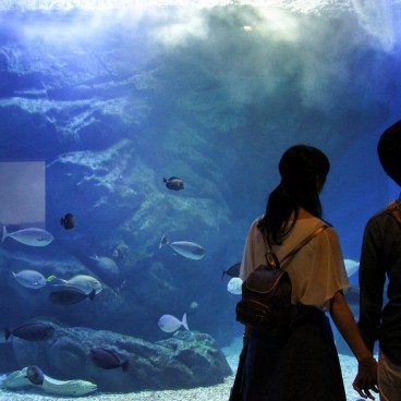 Aqua Park Shinagawa, couple dans l'attraction Water Tube