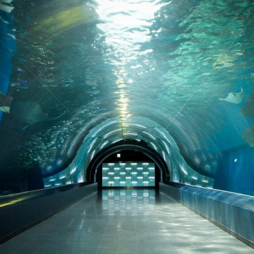 Aqua Park Shinagawa, attraction Water Tube 2
