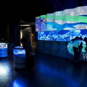 Aqua Park Shinagawa, aquariums de milieu corallien