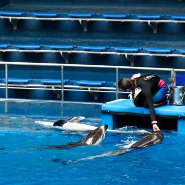 Aqua Park Shinagawa, attraction The Stadium 2