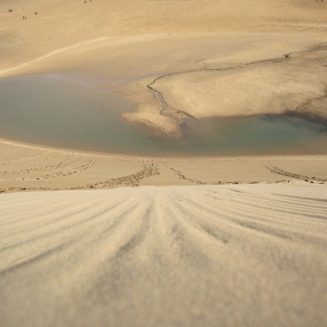 Dunes de Tottori 2