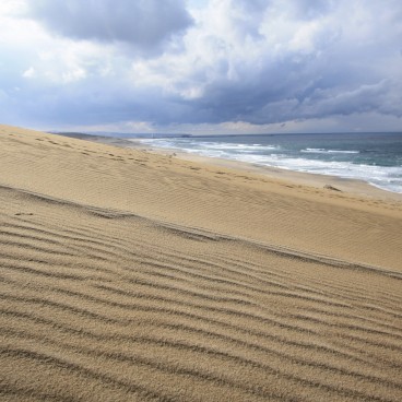 Dunes de Tottori