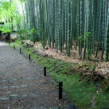Temple Jizo-in à Kyoto, Bambouseraie à l'entrée du site