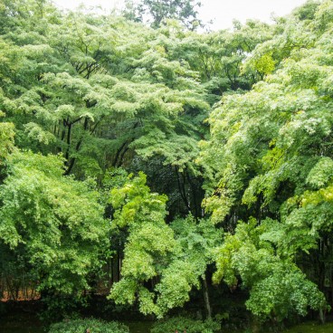 Temple Jizo-in à Kyoto, Jardin