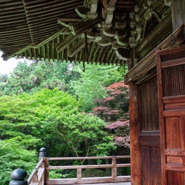 Shoshazan Engyoji, végétation autour des pavillons du temple 2