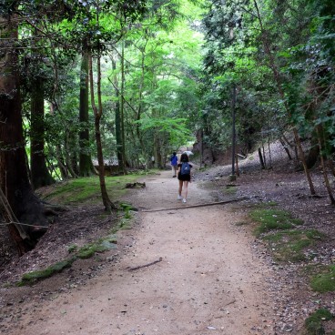 Shoshazan Engyoji, allée du temple dans la forêt 2