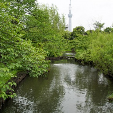 Mukojima Hyakka-en (Tokyo), Vue sur l'étang et Tokyo SkyTree