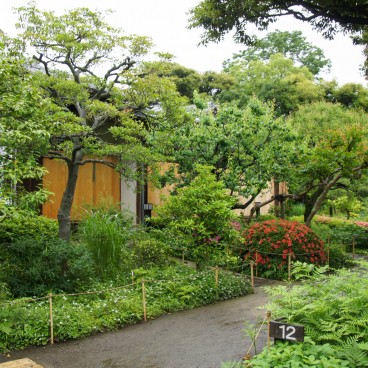 Mukojima Hyakka-en (Tokyo), Allée de promenade fleurie