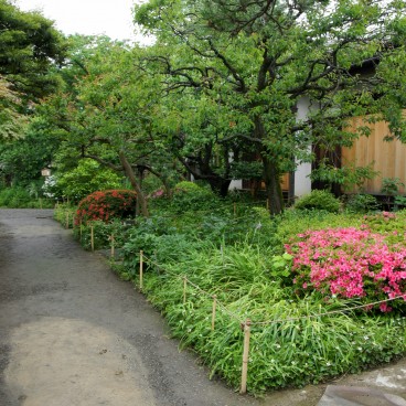 Mukojima Hyakka-en (Tokyo), Allée de promenade fleurie 2