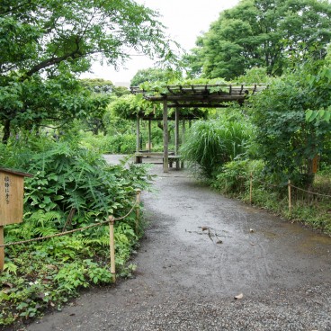 Mukojima Hyakka-en (Tokyo), Allée de promenade 2