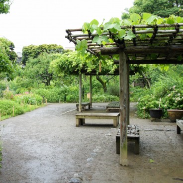 Mukojima Hyakka-en (Tokyo)