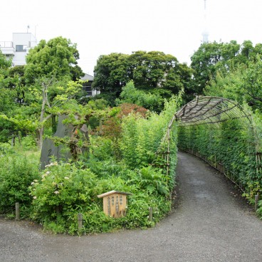 Mukojima Hyakka-en (Tokyo), Tunnel des lespédèzes Hagi