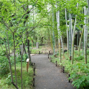 Mukojima Hyakka-en (Tokyo), Bambouseraie