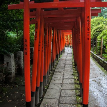 Nezu-jinja (Tokyo), Tunnel Senbon-Torii
