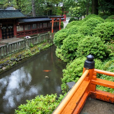 Nezu-jinja (Tokyo), Vue sur le plan d'eau aux carpes koi depuis Otome Inari