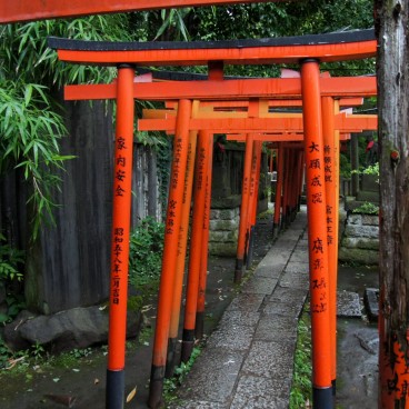 Nezu-jinja (Tokyo), Tunnel Senbon-Torii 2