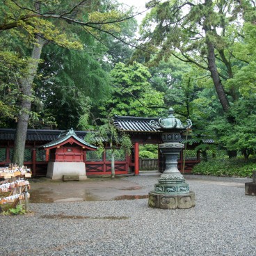 Nezu-jinja (Tokyo), Vue sur l'enceinte du sanctuaire