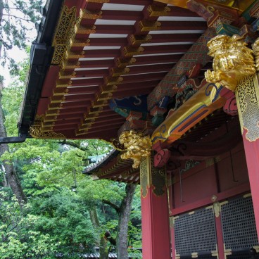 Nezu-jinja (Tokyo), Détail des décorations
