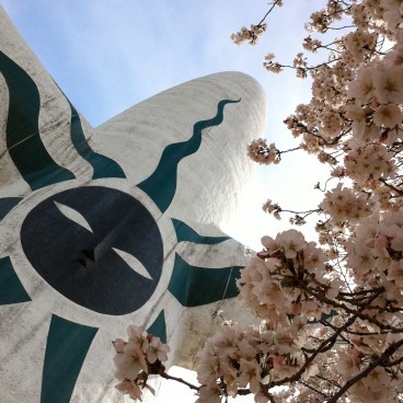Parc Expo'70 (Osaka), l'arrière de la Tour du Soleil et cerisiers en fleur