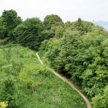 Observatoire sur Kyoto depuis Shogunzuka 4