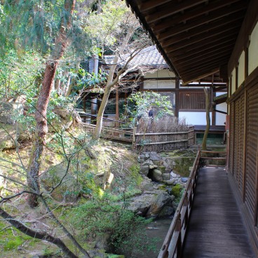 Shoren-in (Kyoto), Vue sur le jardin 3