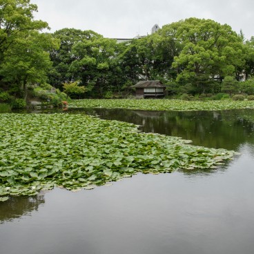 Shosei-en (Kyoto), Vue sur l'étang et un pavillon isolé