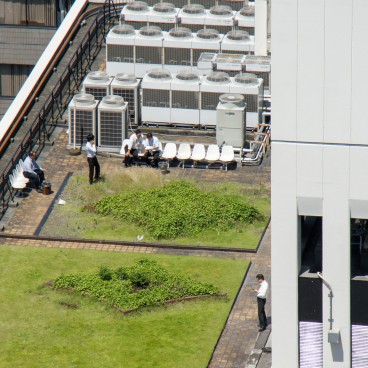 Salarymen en pause sur un toit de Tokyo