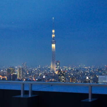 Vue nocturne sur la Tokyo SkyTree depuis un toit de Tokyo