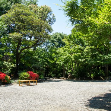 Villa Kyu Asakura à Shibuya, Vue sur le jardin