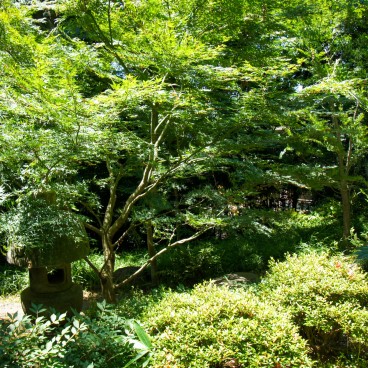 Villa Kyu Asakura à Shibuya, Vue sur le jardin 2