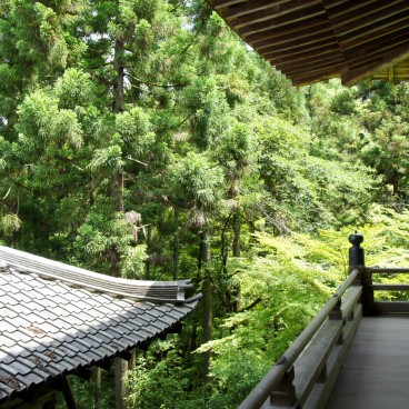 Ishiyama-dera (Otsu, Shiga), vue sur la forêt depuis les pavillons