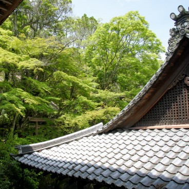 Vue sur la forêt et détail architectural de l'Ishiyama-dera à Otsu