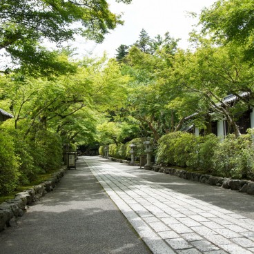 Allée pavée de l'Ishiyama-dera à Otsu 2