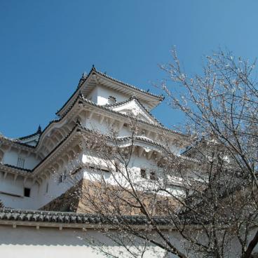 Château de Himeji, forteresse et donjon avant les rénovations de 2015 4