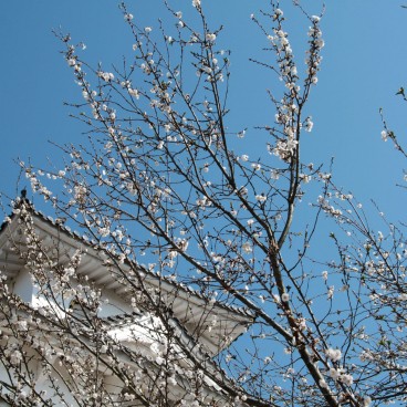 Château de Himeji, forteresse et donjon avant les rénovations de 2015 5