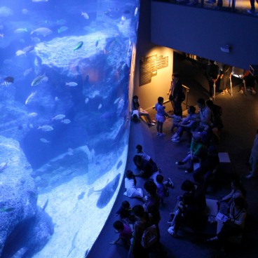 Aquarium Sumida 4