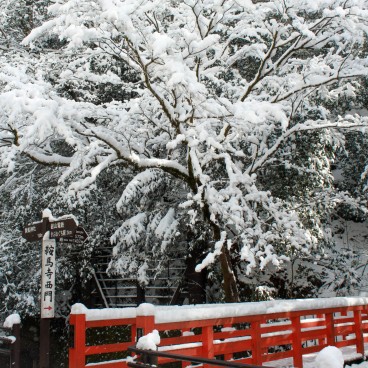 Kibune (Kyoto),  nature endormie sous la neige en hiver