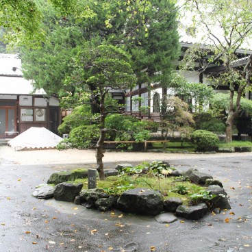Myohon-ji (Kamakura), Végétation du temple